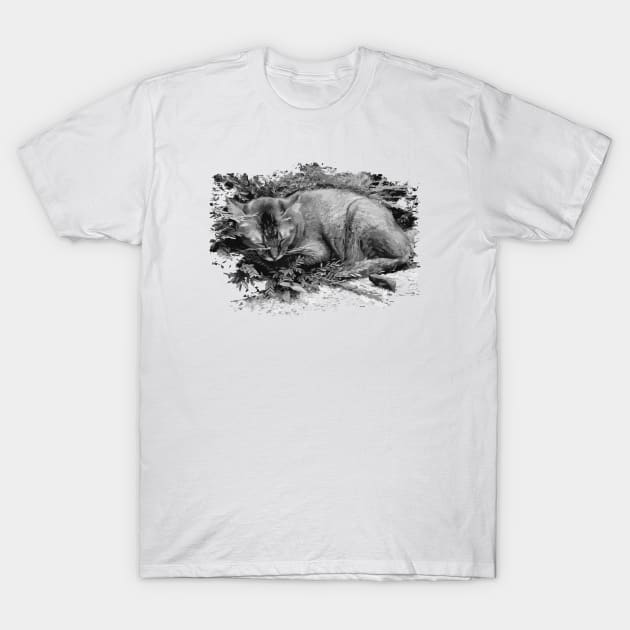 Nap Cat T-Shirt by tfcewan